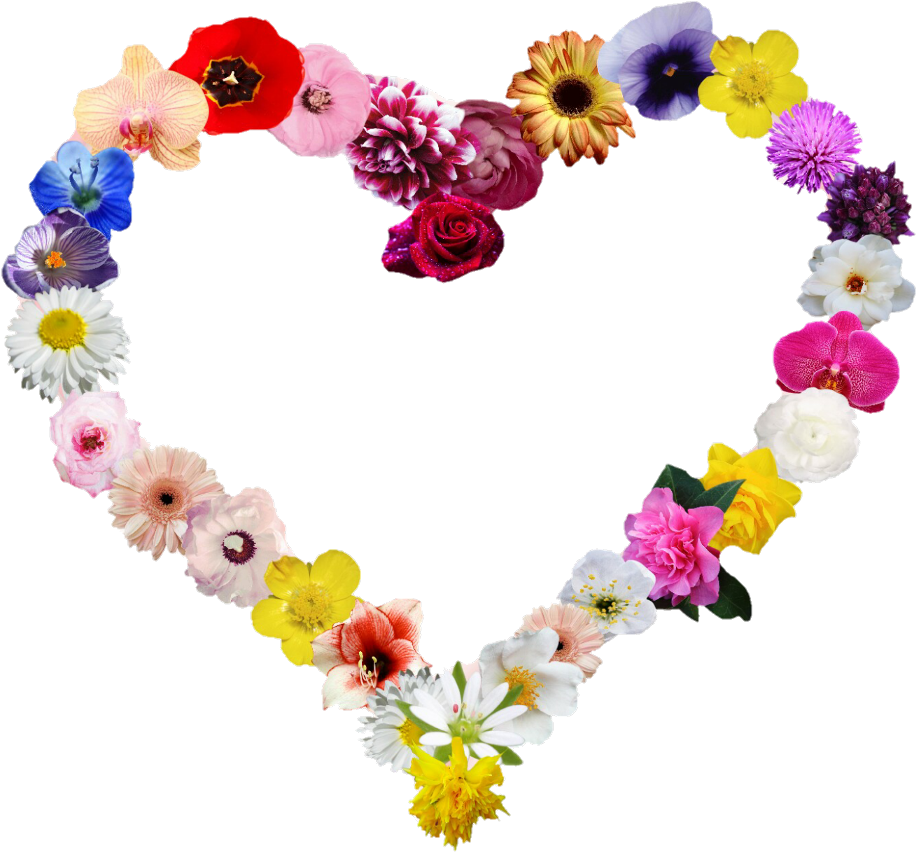 #heartshapes #heart #flowers #shape - Comment Bien Bander Clipart (1024x1041), Png Download
