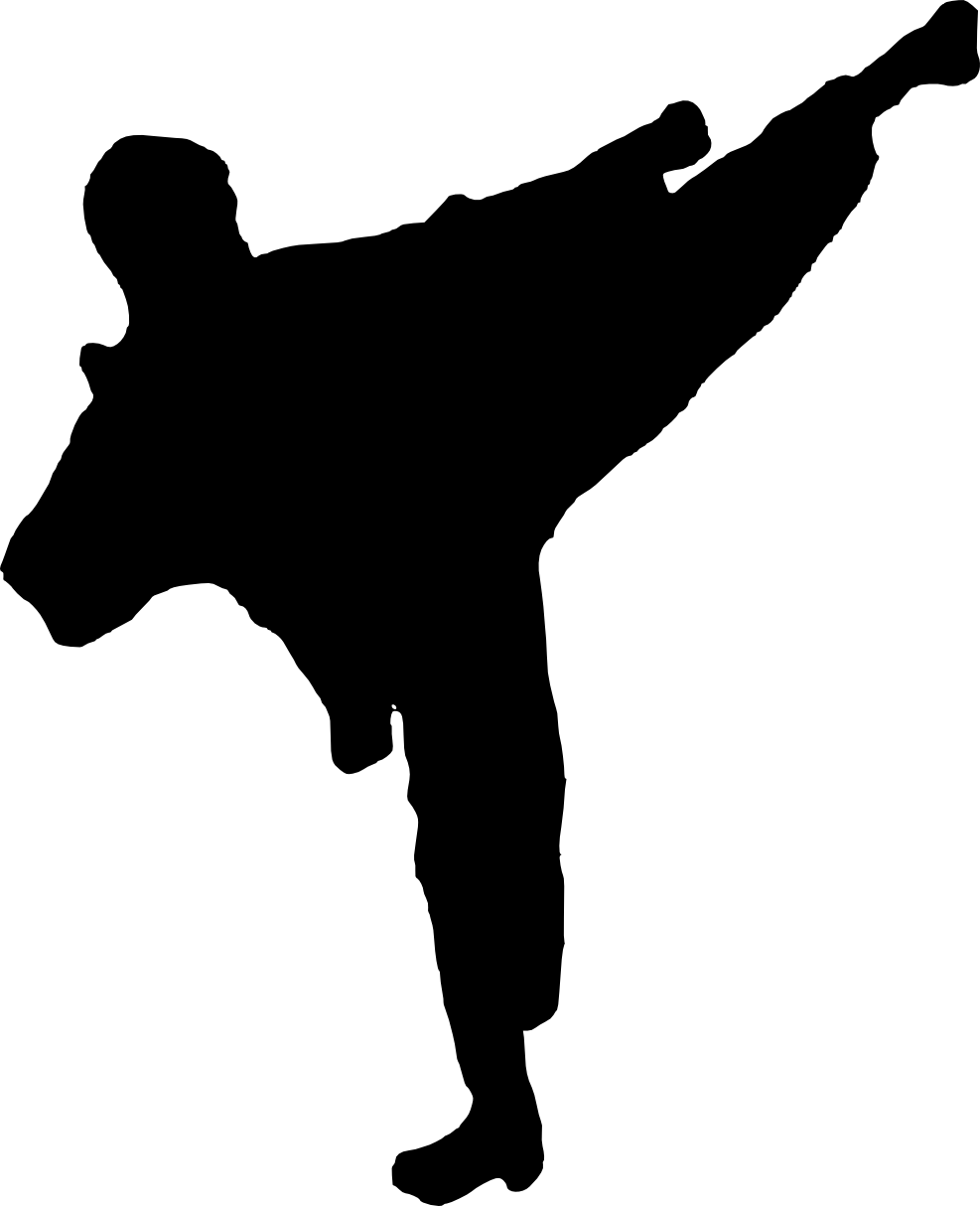 Free Download - Kung Fu Vector Png Clipart (987x1214), Png Download