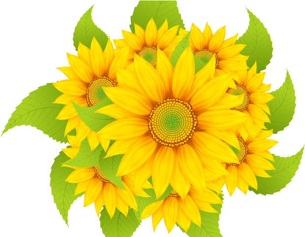 Shape Clipart Yellow Flower - Portable Network Graphics - Png Download (640x480), Png Download