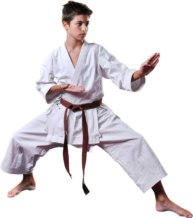 Martial Arts Stance Clipart (626x705), Png Download