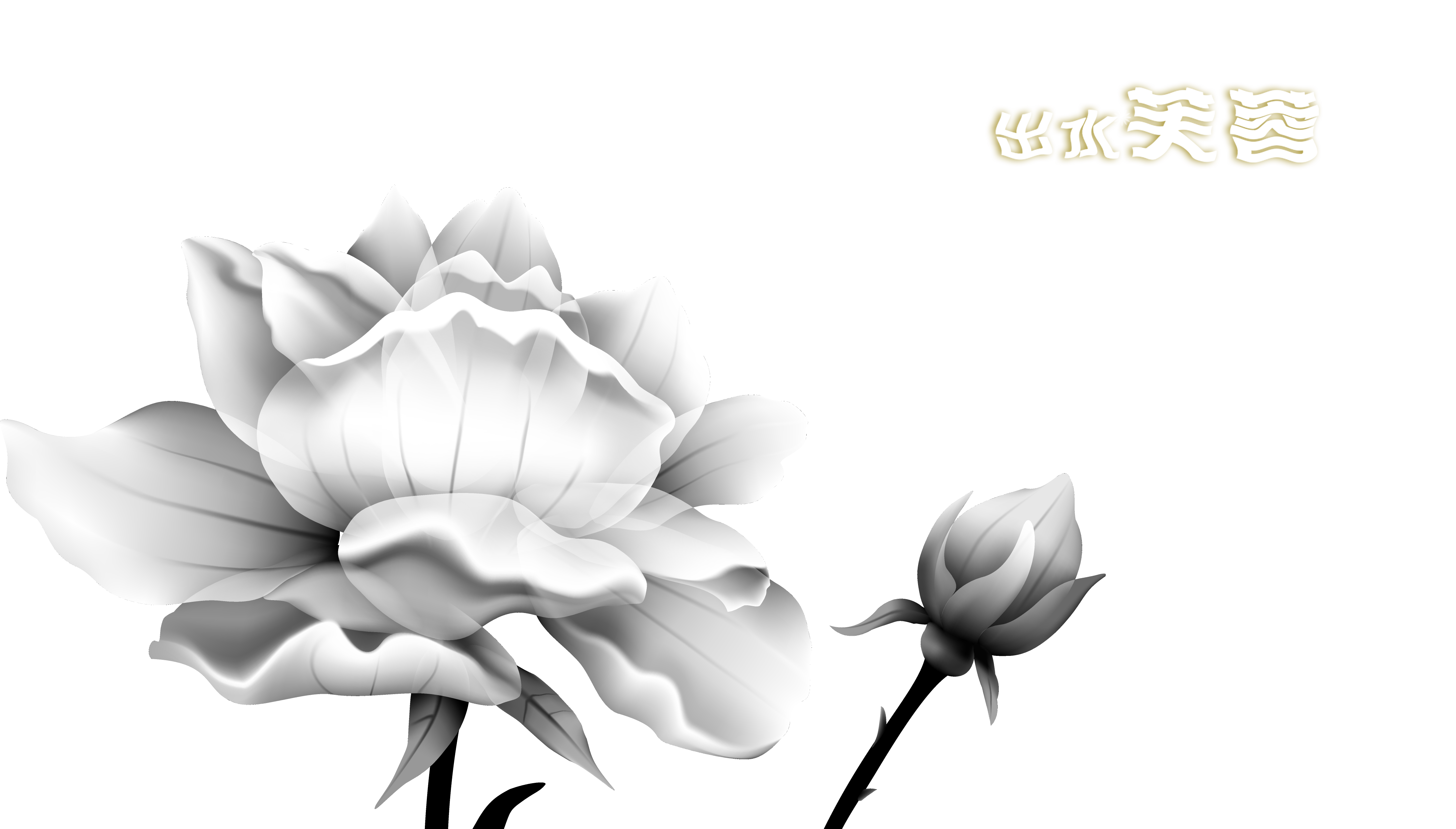Paper Sticker Wallpaper Ink Lotus Transprent Png - Sacred Lotus Clipart (4417x2514), Png Download