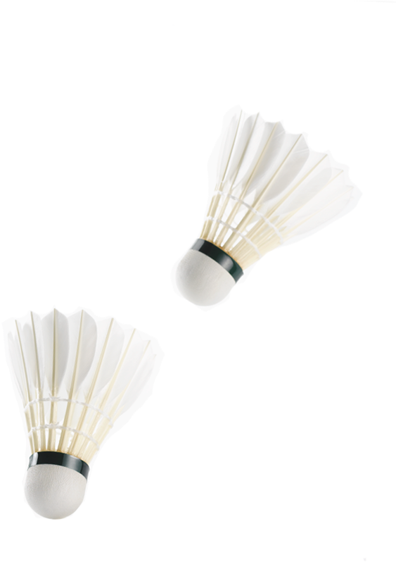 Crafted With Exacting Detail And To The Strictest Criteria, - Badminton Clipart (600x975), Png Download