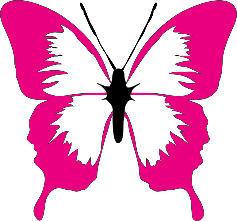Cute Butterfly Clipart - Colorful Butterflies Clip Art - Png Download (600x559), Png Download