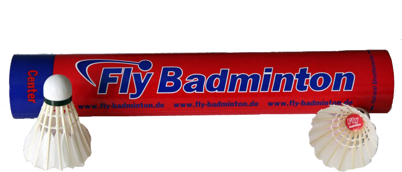 Fly Center - Badminton Clipart (800x600), Png Download