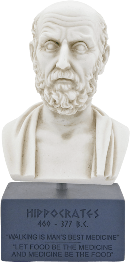 Ιπποκράτης Με Βάση - Bust Clipart (479x906), Png Download