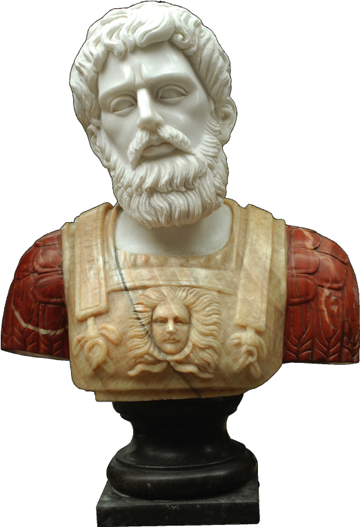 Busts - Bust Clipart (900x900), Png Download