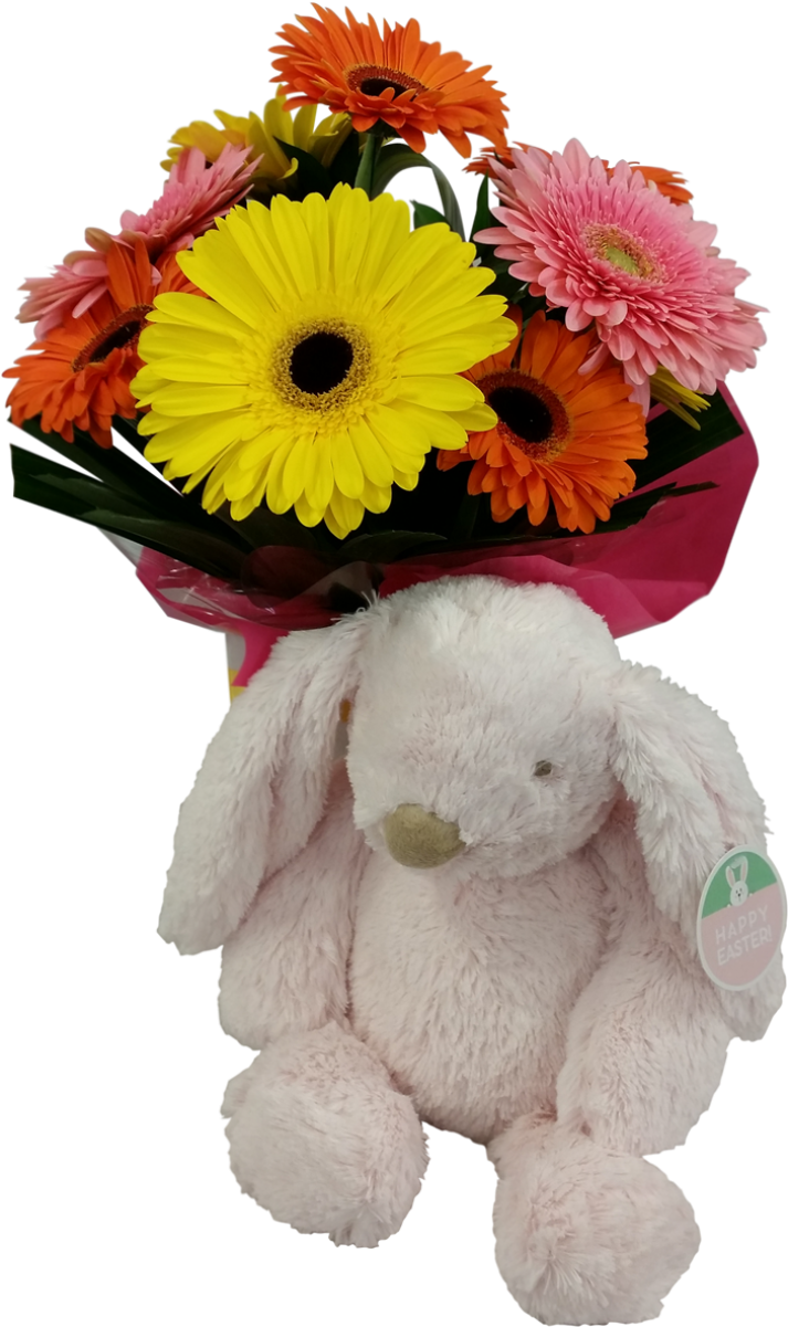 Easter Flowers & Soft Bunny - Barberton Daisy Clipart (1050x1200), Png Download