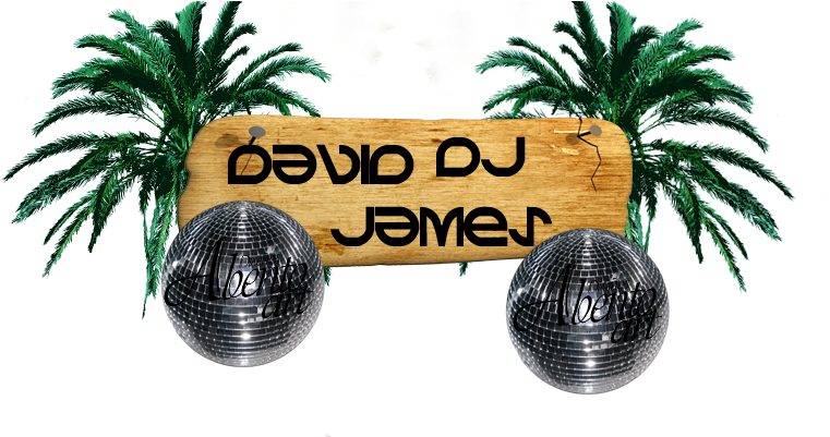 Wrecking Ball - Attalea Speciosa Clipart (780x400), Png Download