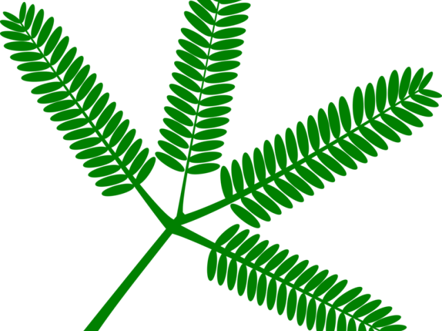 Bush Clipart Vascular Plant - Emerald N Ruby Necklace - Png Download (640x480), Png Download