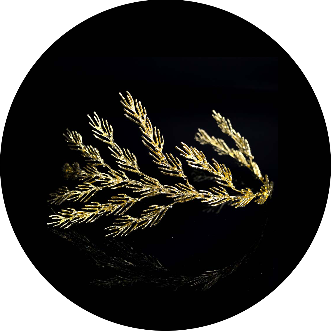 Msr008 , Png Download - Circle Clipart (1134x1136), Png Download