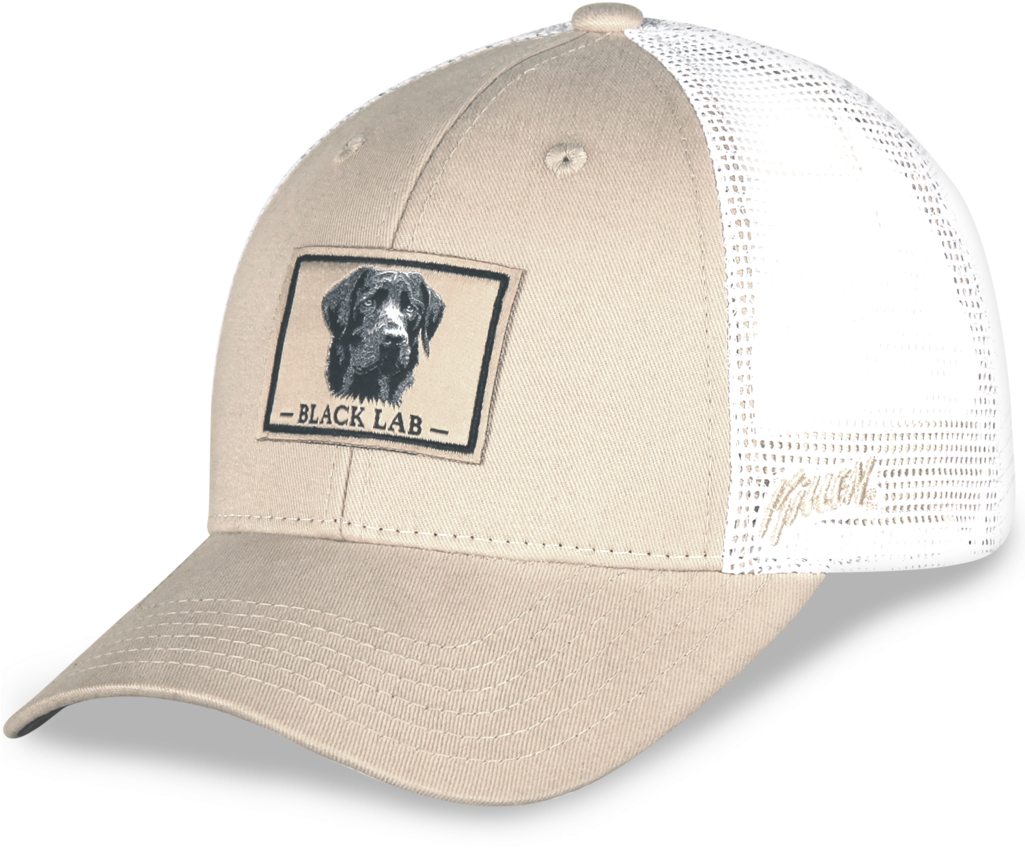 Black Lab Hat - Baseball Cap Clipart (1024x1024), Png Download