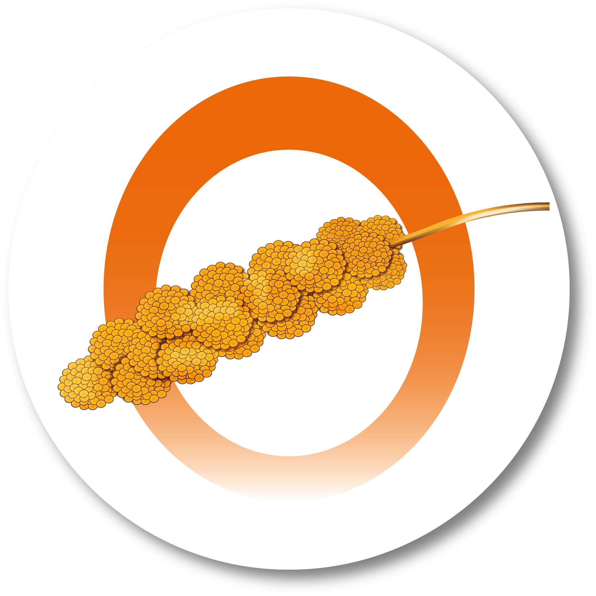 Inicie - Circle Clipart (2204x2204), Png Download