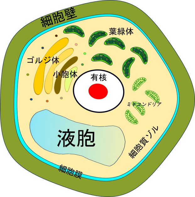 Japan Cell - Zombie Smiley Face Clipart (621x628), Png Download