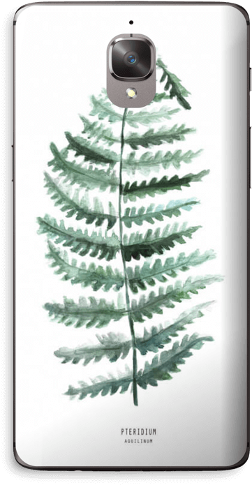 Pteridium Aquilinum Skin Oneplus - Fern Clipart (412x800), Png Download