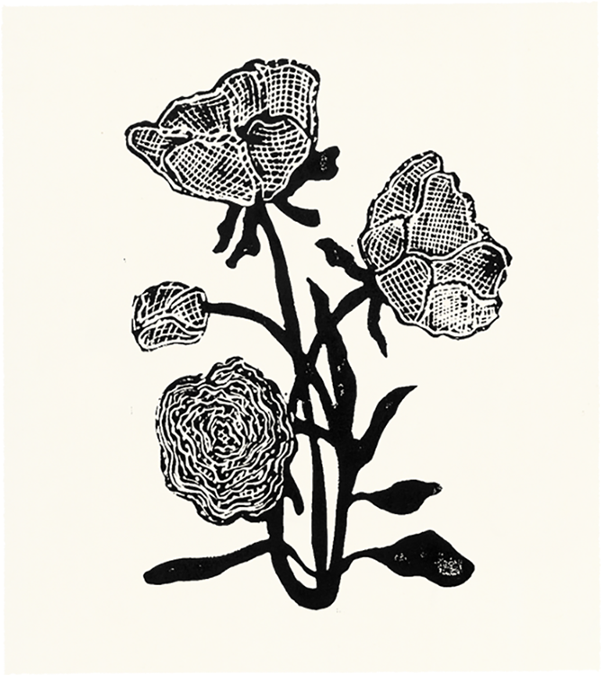 Hugo Guinness Framed Prints Clipart (800x800), Png Download