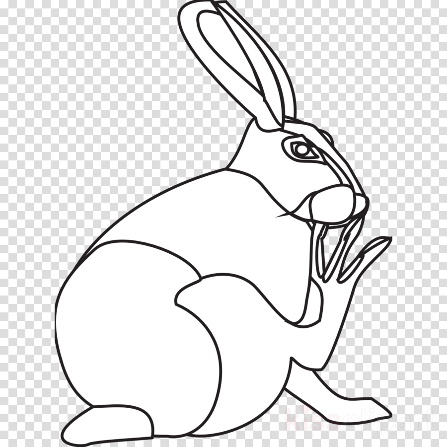 Line Art Clipart Domestic Rabbit Easter Bunny - Facebook Cut The Rope Stickers - Png Download (900x900), Png Download