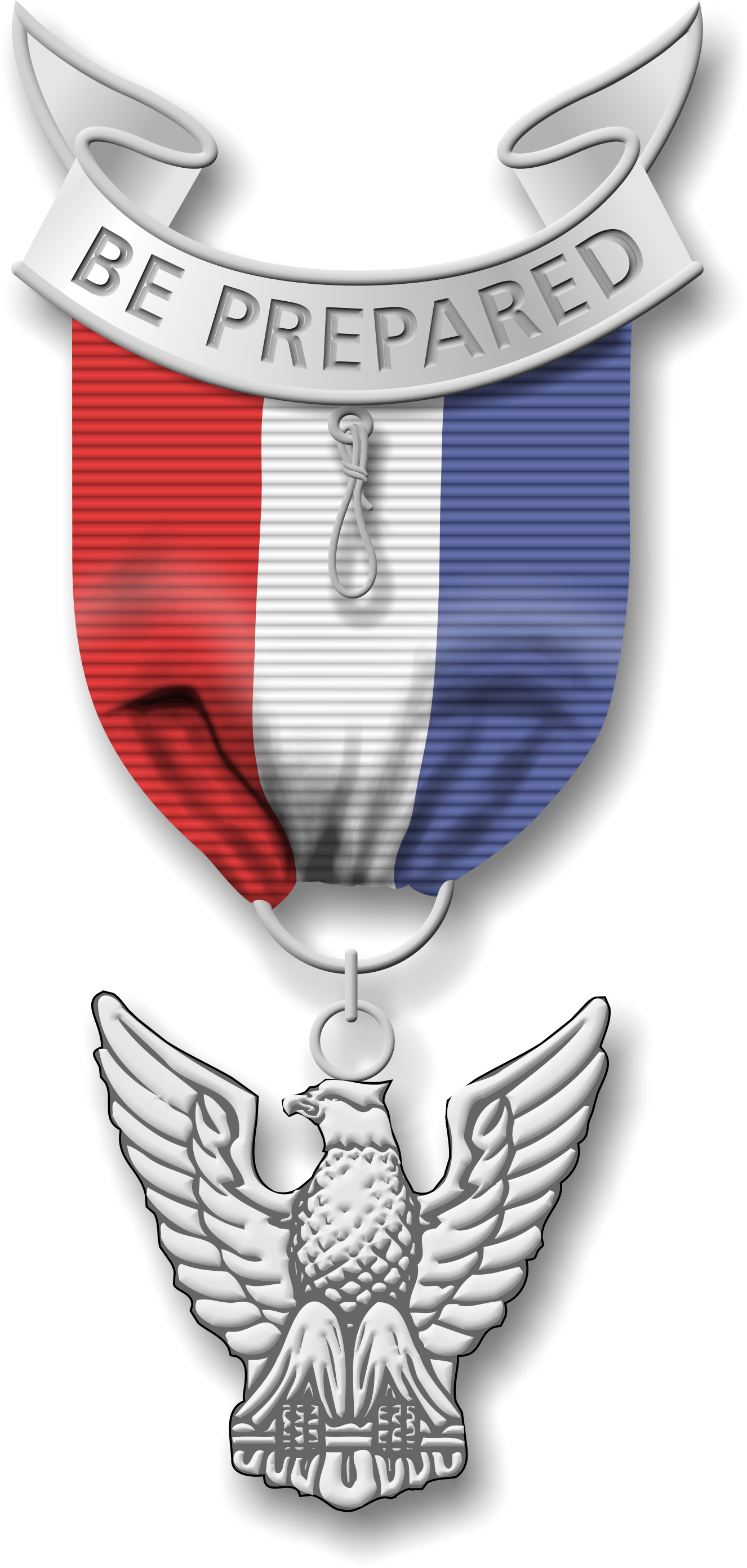 Award Transparent Eagle Scout - Eagle Scout Clip Art - Png Download (1446x2901), Png Download