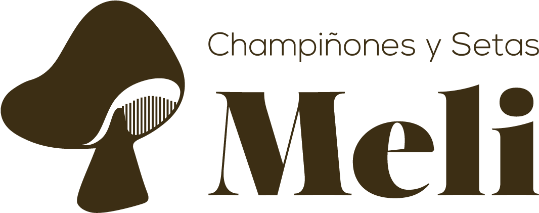 Champiñones Y Setas Meli - Graphic Design Clipart (1079x432), Png Download