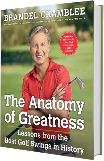 Brandel-side - “ - Anatomy Of Greatness Clipart (465x700), Png Download