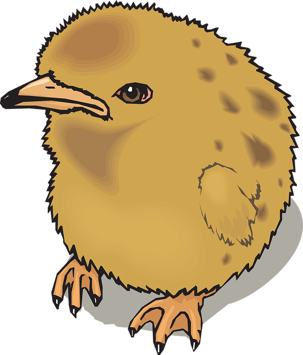 Chick Baby Chicken Farm Animal Poultry Livestock - Bird Vector Clipart (615x720), Png Download