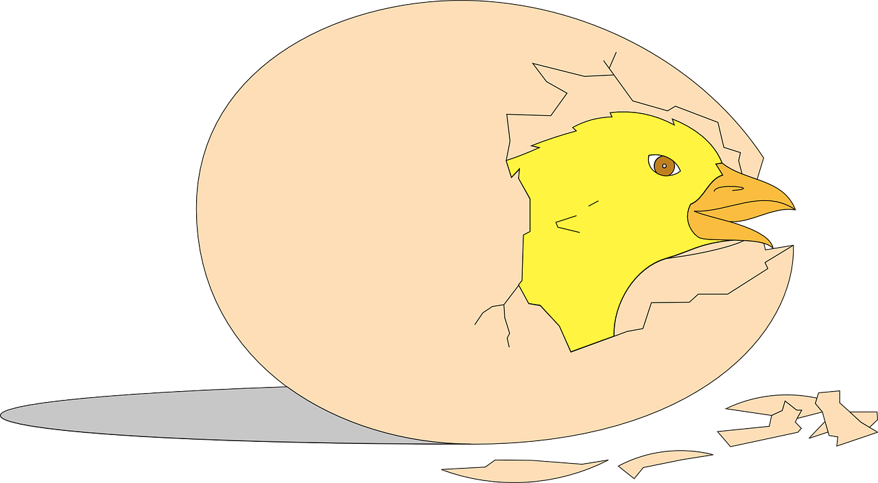 Animasi Telur Ayam Menetas Clipart (1280x704), Png Download