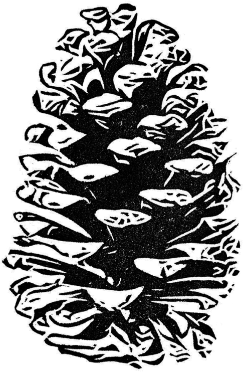 Large Leaf - Illustration Clipart (485x742), Png Download