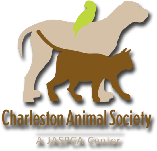 4b6b8a0b 1549 4688 822f C03216a5bdc9 Large16x9 Aspca - Charleston Animal Society Logo Png Clipart (986x555), Png Download