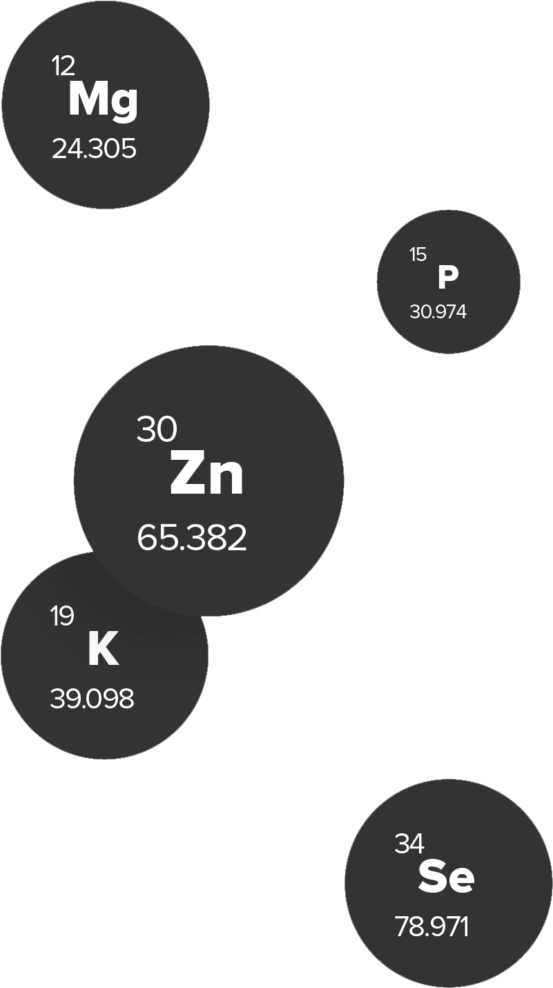 Balance Image - Circle Clipart (1031x1601), Png Download