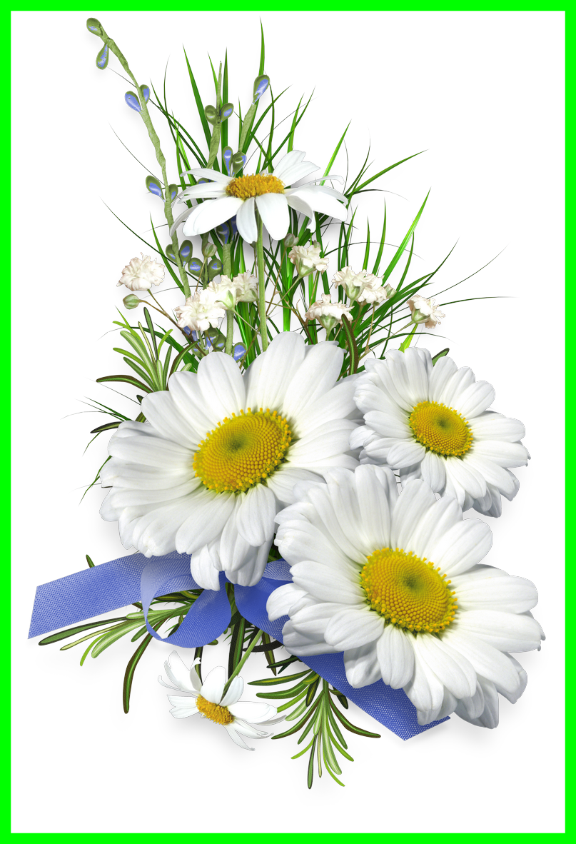 Aster Flower Clipart - Пусть Будет Здоровье Хорошим Любой День Погожим - Png Download (807x1182), Png Download