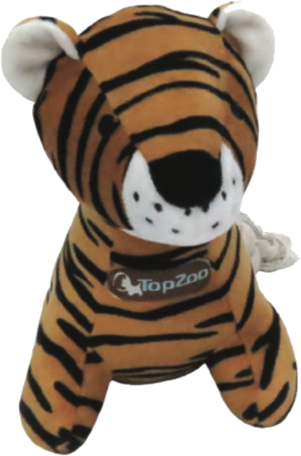 Bengal Tiger Clipart (573x800), Png Download