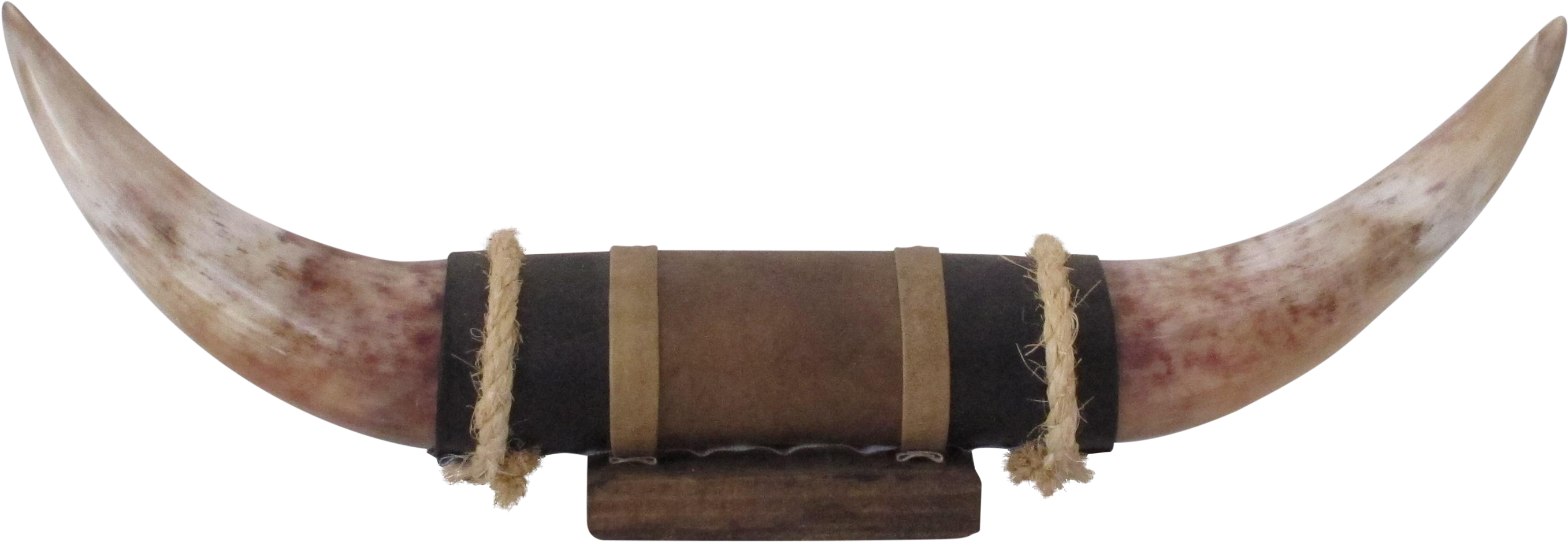 Bull By The Horns Png Pluspng - Scabbard Clipart (3014x1041), Png Download