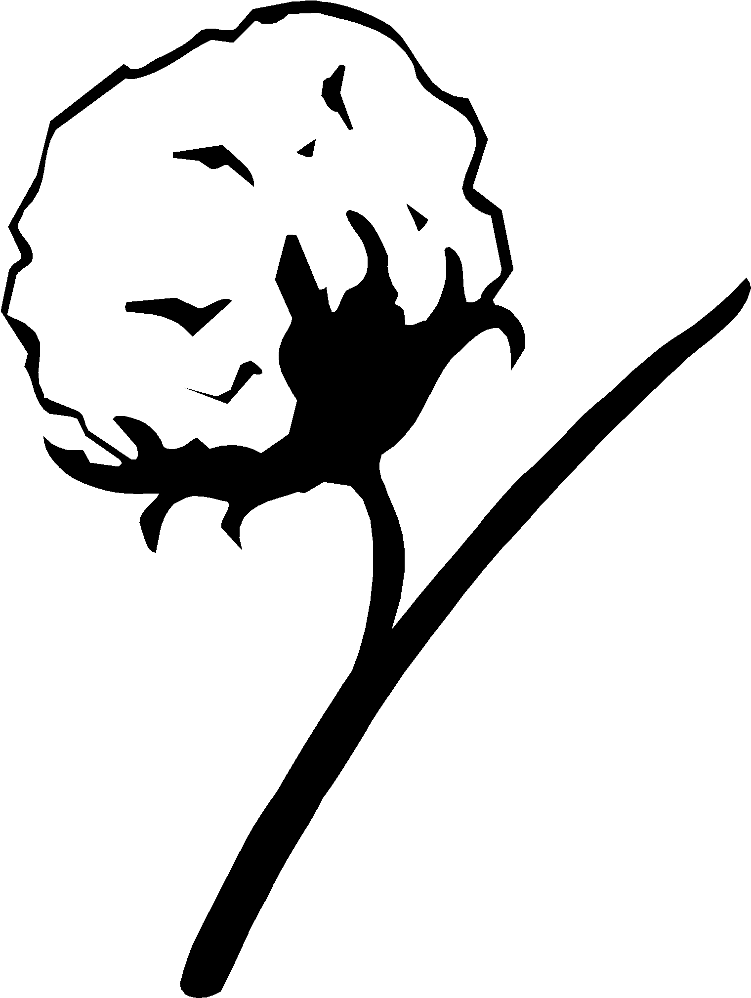 Cotton Plant Drawing , Png Download - Cotton Plant Drawing Clipart (1520x2020), Png Download