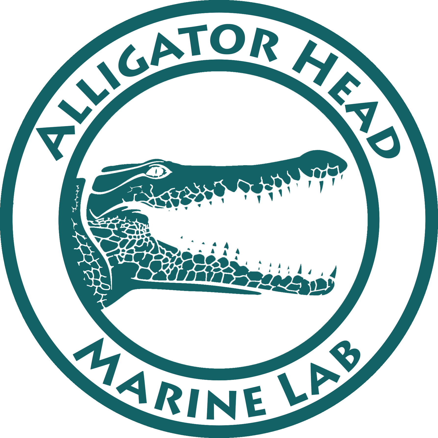 The Alligator Head Marine Lab, The Research Arm Of - Alligator Head Foundation Clipart (1785x1785), Png Download