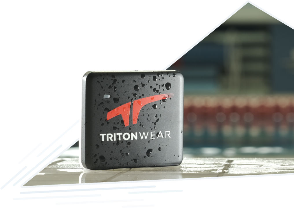 Eastern Newt Clipart (1035x731), Png Download