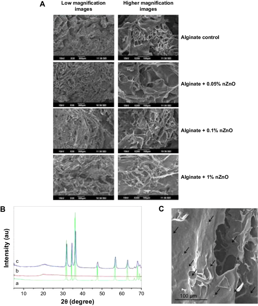 Physico-chemical Charecterisation Of Alginate Hydrogel/nzno - Igneous Rock Clipart (850x1005), Png Download