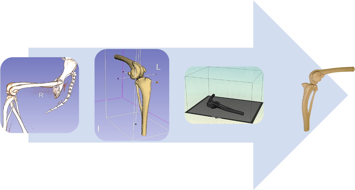 Figure - Blue Jay Clipart (1320x666), Png Download