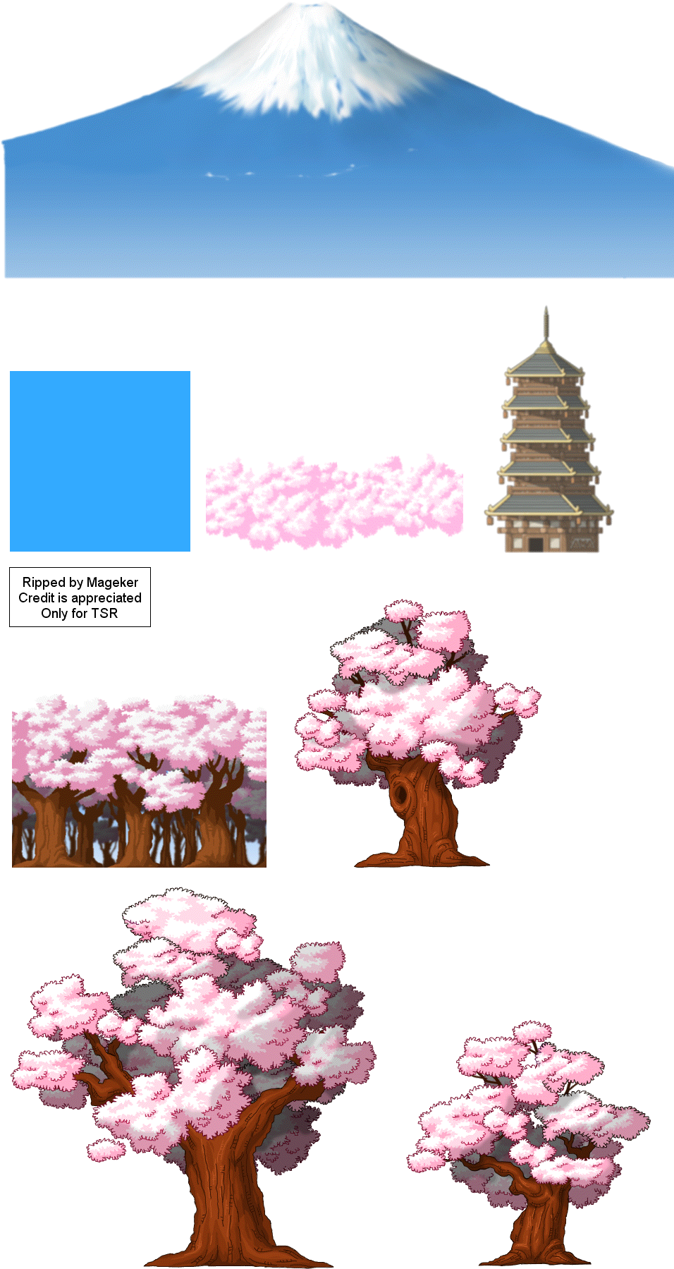 Thumb Image - Cherry Blossom Clipart (973x1826), Png Download