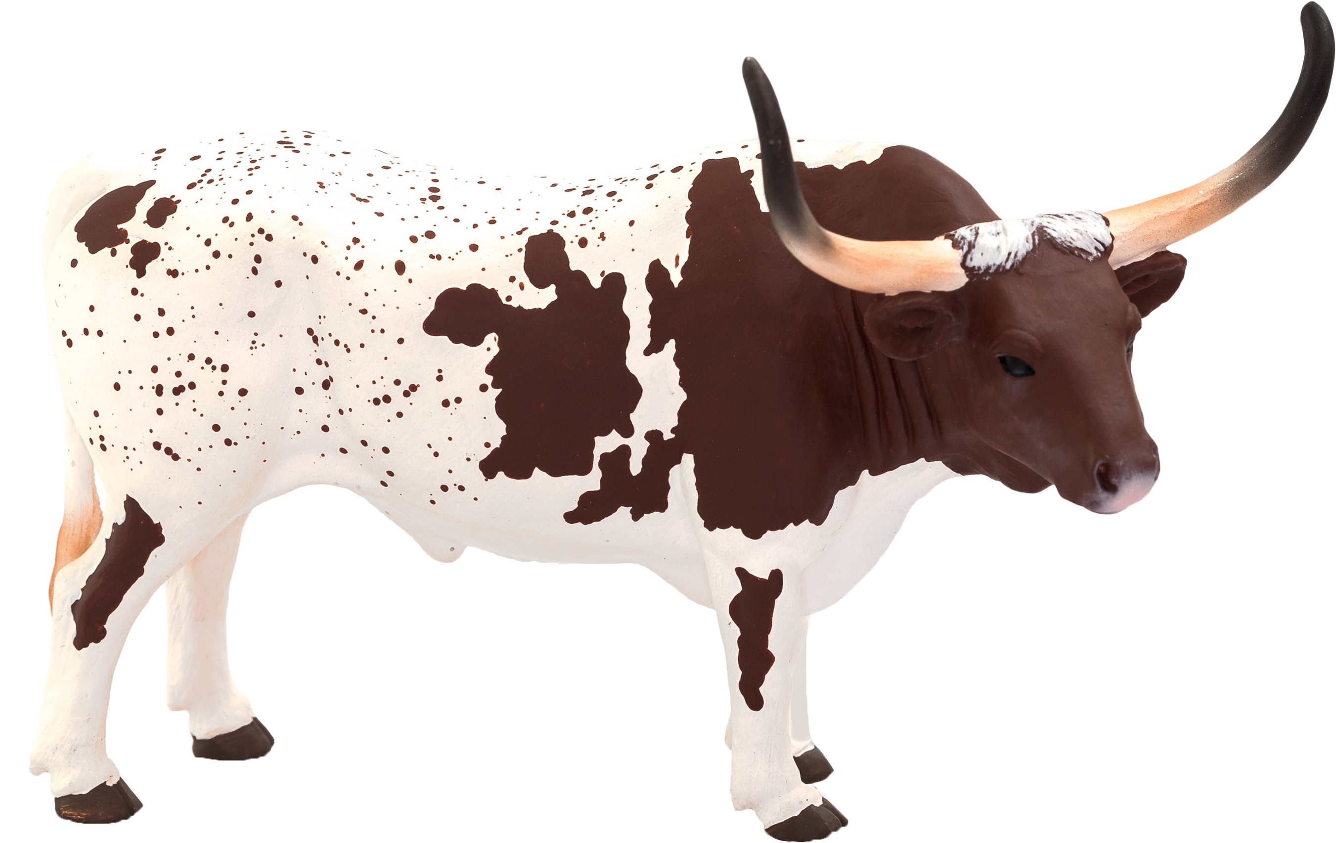 Texas Longhorn, English Longhorn, Zebu, Livestock, Clipart (2740x1785), Png Download