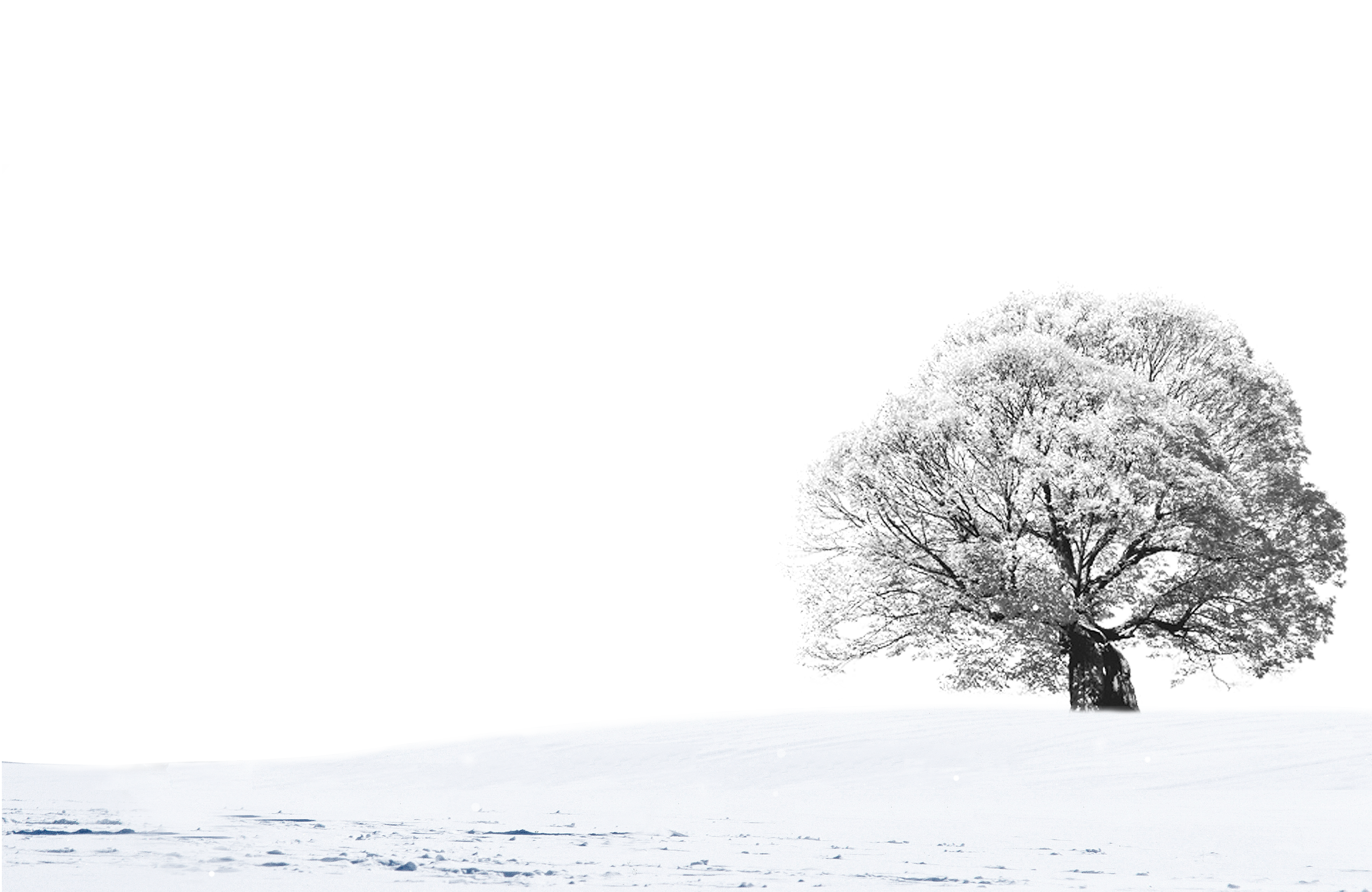 Landscape Design Transprent - Snow Clipart (3000x1950), Png Download