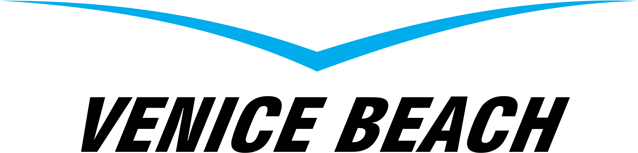 Venice Beach Logo Png Transparent - Beach Clipart (2400x2400), Png Download