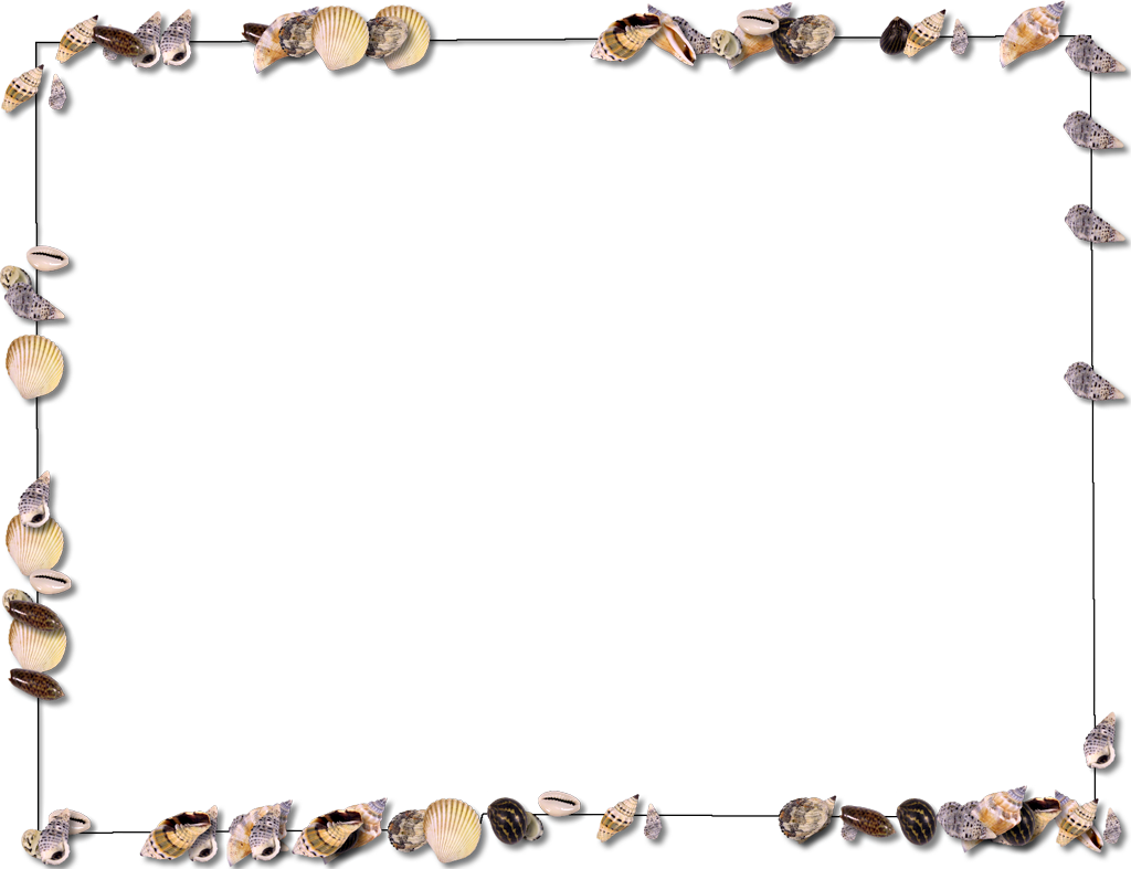 1024 X 787 7 - Sea Shell Frame Png Clipart (1024x787), Png Download