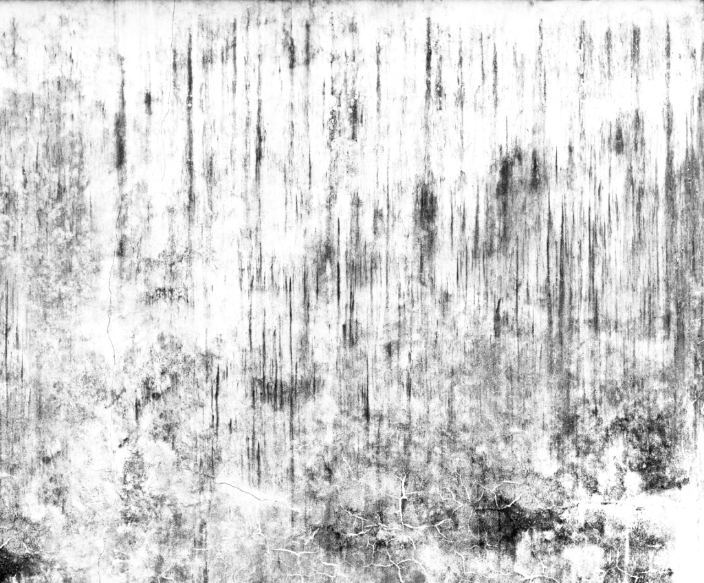 Dirt Png Texture - Monochrome Clipart (1024x848), Png Download