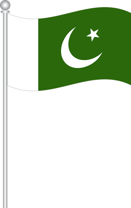 Flag Of Pakistan Flag Flag Of World Country Symbol - Pakistan Flag Vector Png Clipart (453x720), Png Download