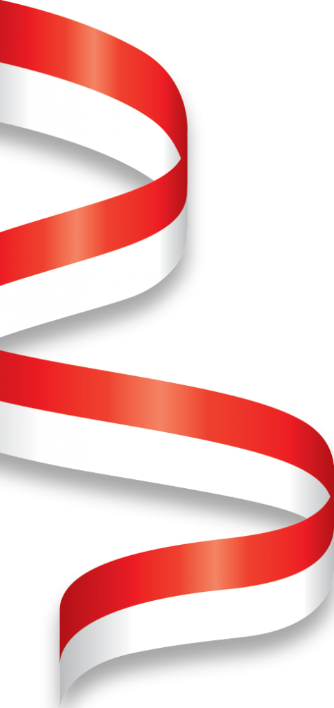 Indonesia Flag Png Pic - Indonesian Flag Art Png Clipart (484x1024), Png Download