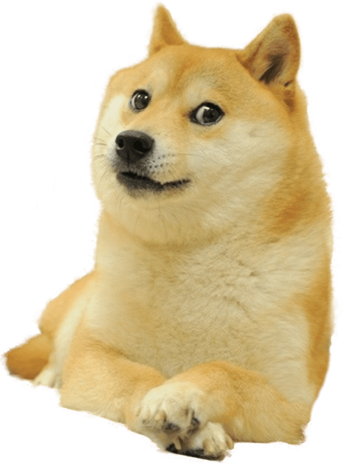 Doge Full Smiling - Doge Meme Transparent Clipart (678x924), Png Download