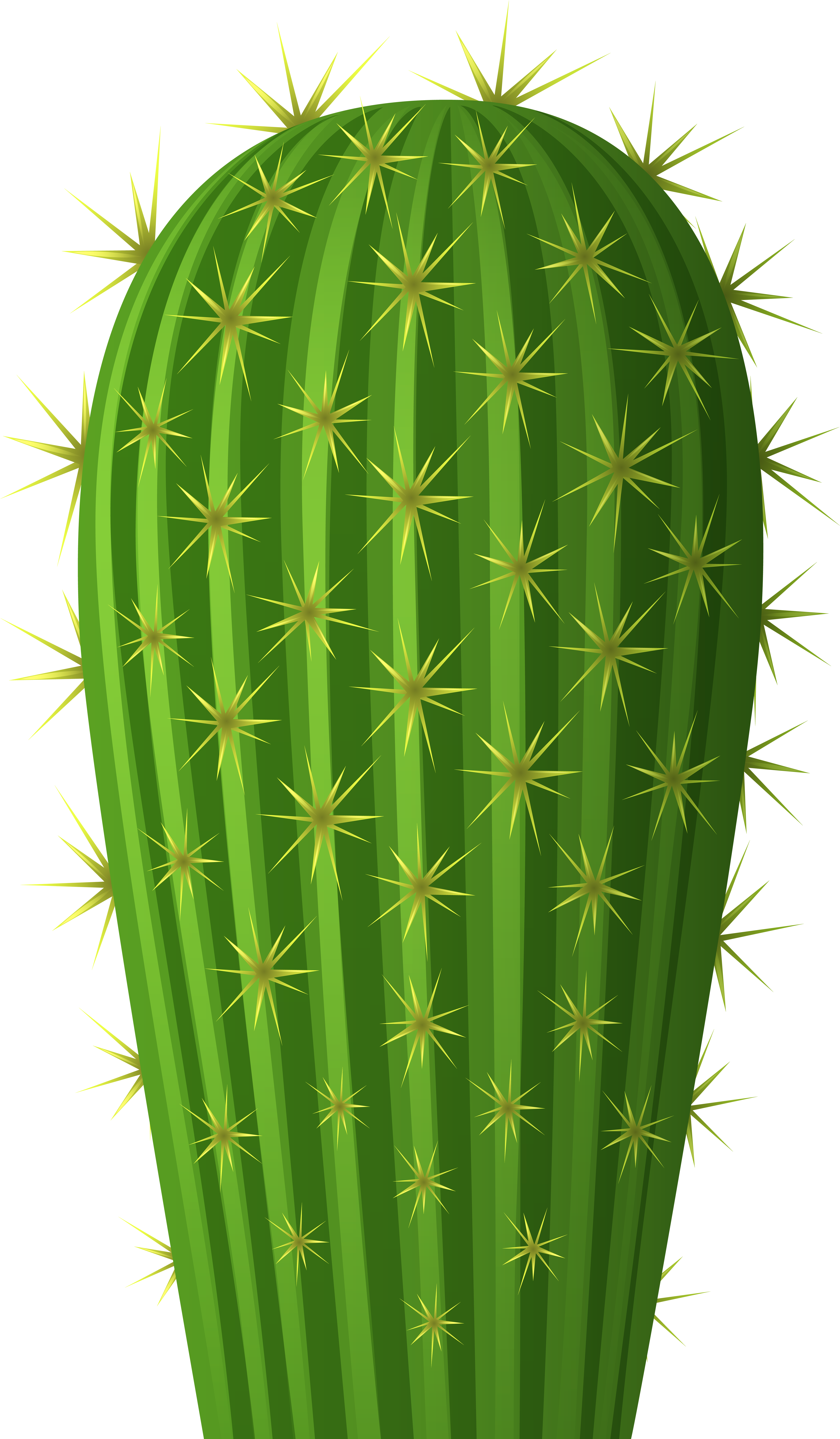 Cactus Png Clip Art Image - Cactus Png Transparent Png (4766x8000), Png Download