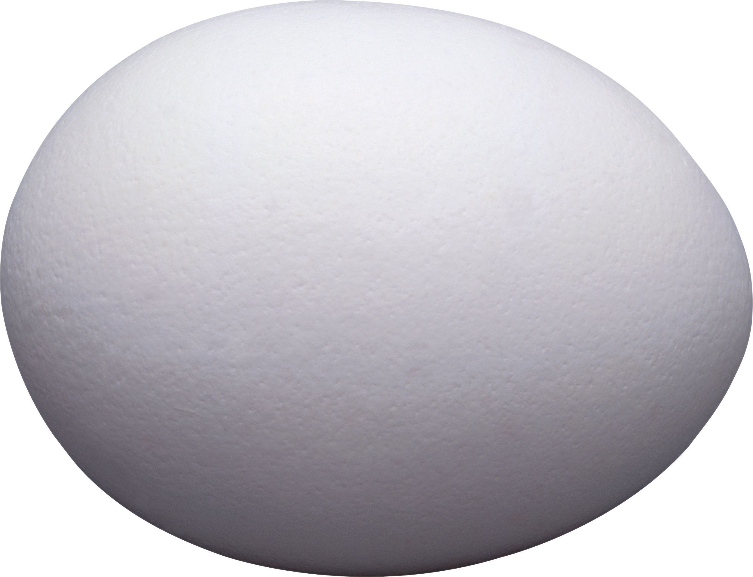 Egg Png Image - Transparent Background Egg Clipart Png (2505x1920), Png Download