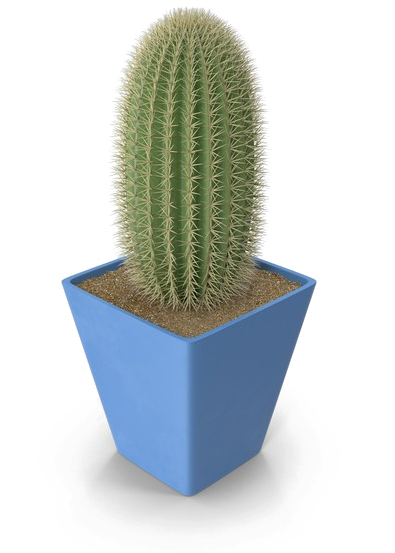 Saguaro Cactus Png Photo - Weberocereus Clipart (600x600), Png Download