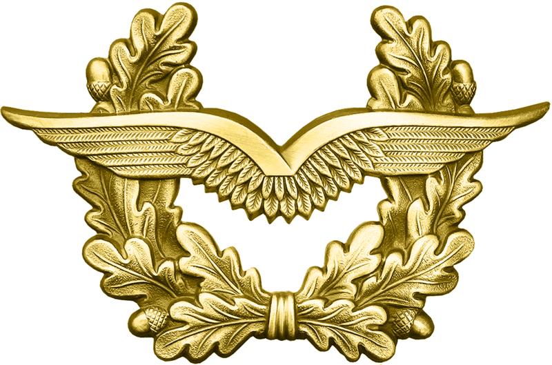 Bw Schirmmütze Luftwaffe Gold - German Air Force Clipart (800x529), Png Download
