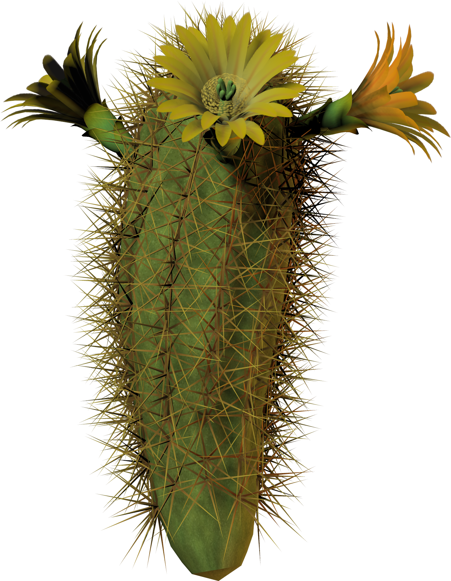 Image - Cactus With Flower Png Clipart (1882x1920), Png Download